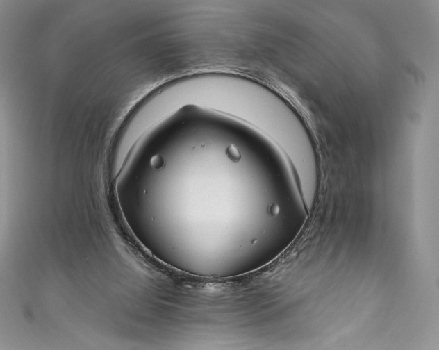 X0000111010060200907061004