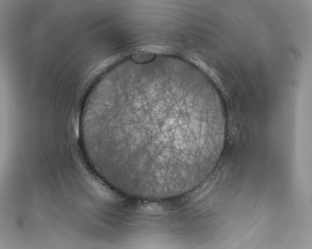 X0000111010062200907061004