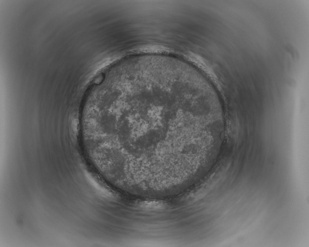 X0000111010063200907061004