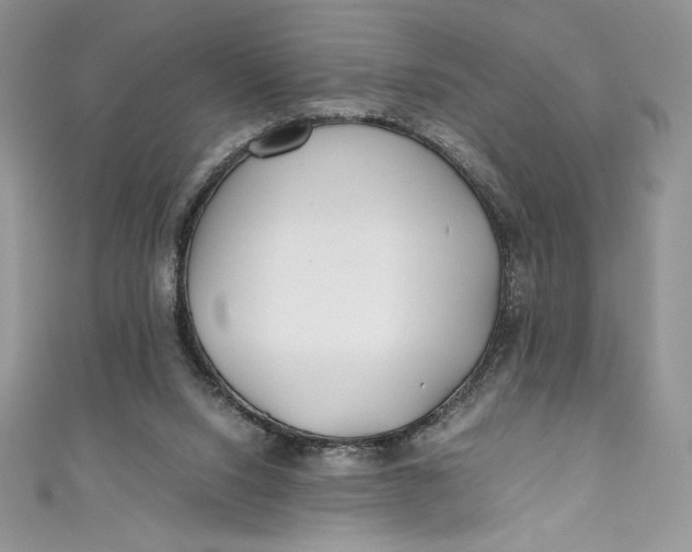 X0000111010064200907061004