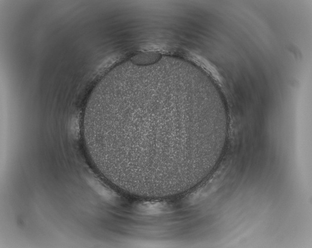 X0000111010065200907061004