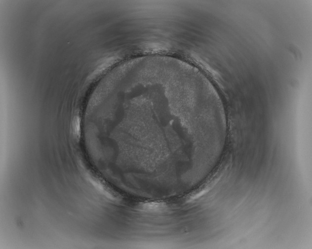 X0000111010067200907061004