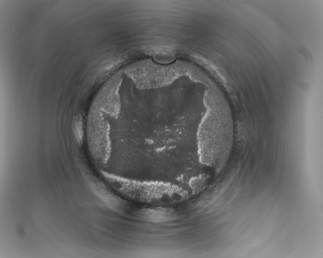 X0000111010069200907061004