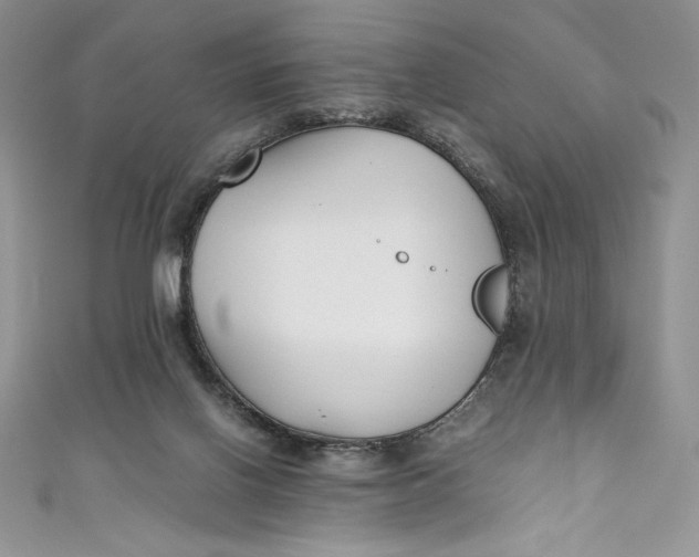 X0000111010070200907061004