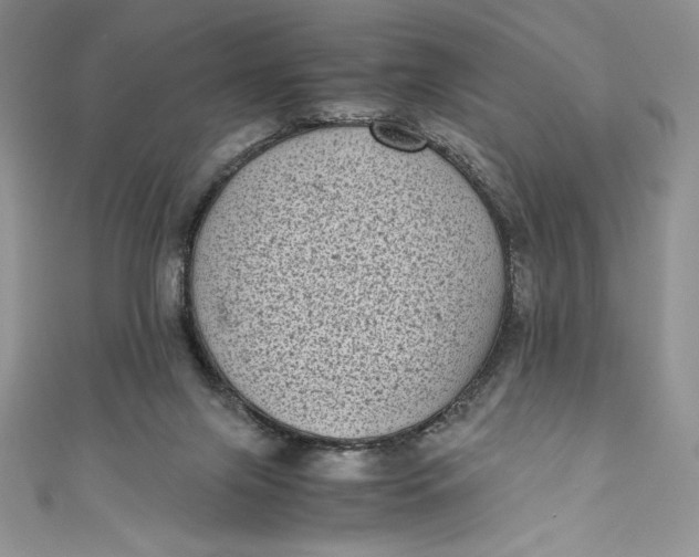 X0000111010071200907061004
