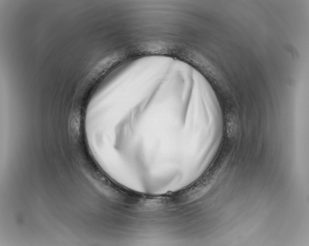 X0000111010072200907061004