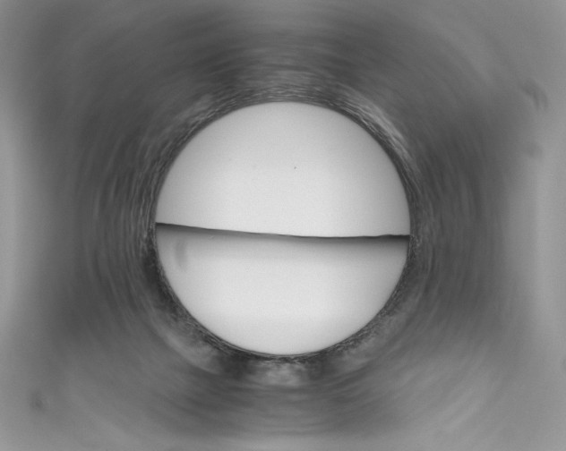 X0000111010073200907061004