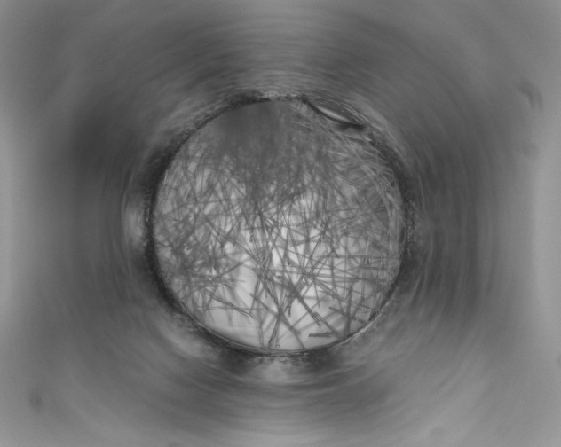 X0000111010074200907061004