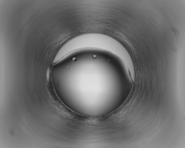 X0000111010076200907061004