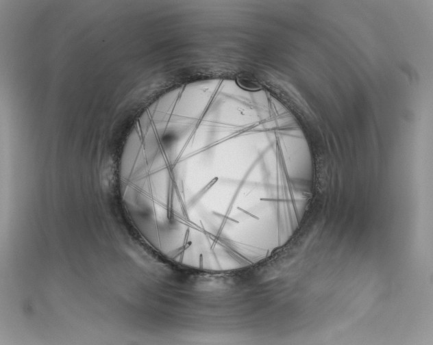X0000111010077200907061004