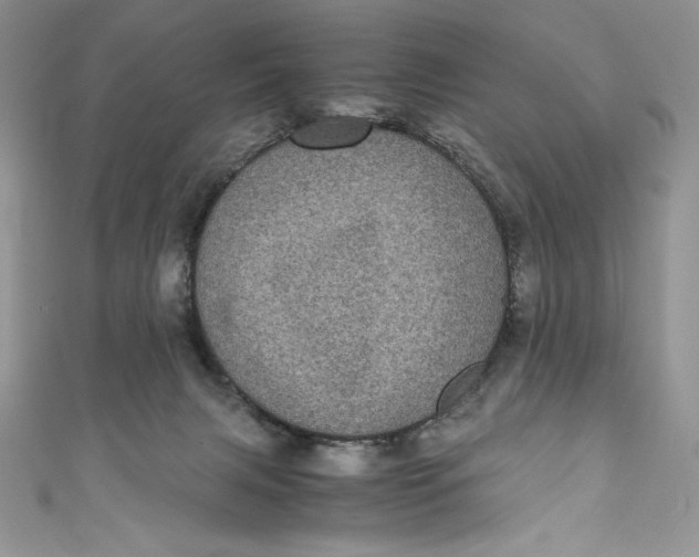 X0000111010079200907061004