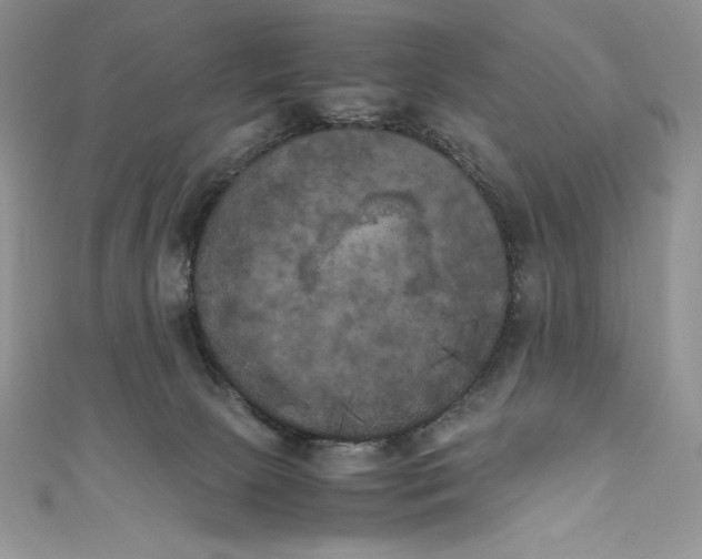 X0000111010081200907061004