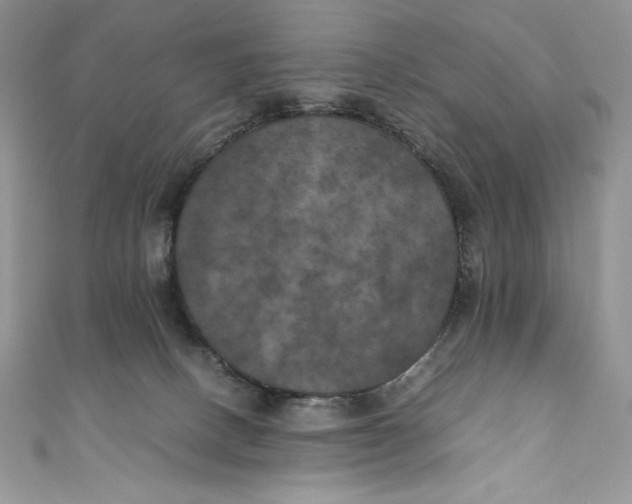 X0000111010082200907061004