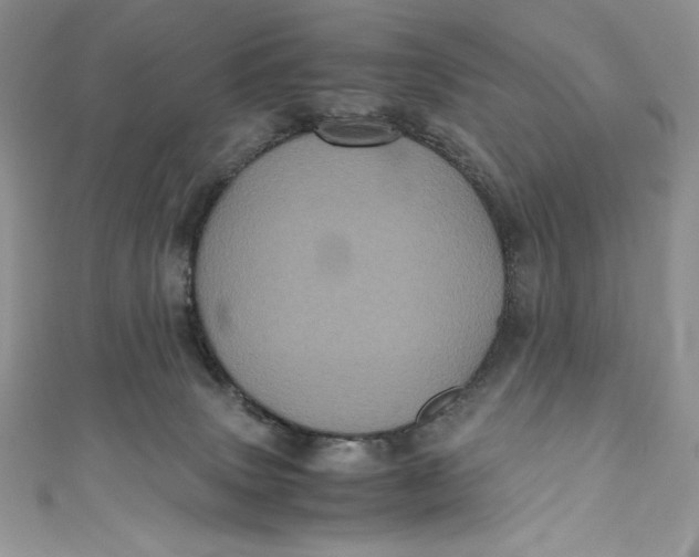 X0000111010083200907061004