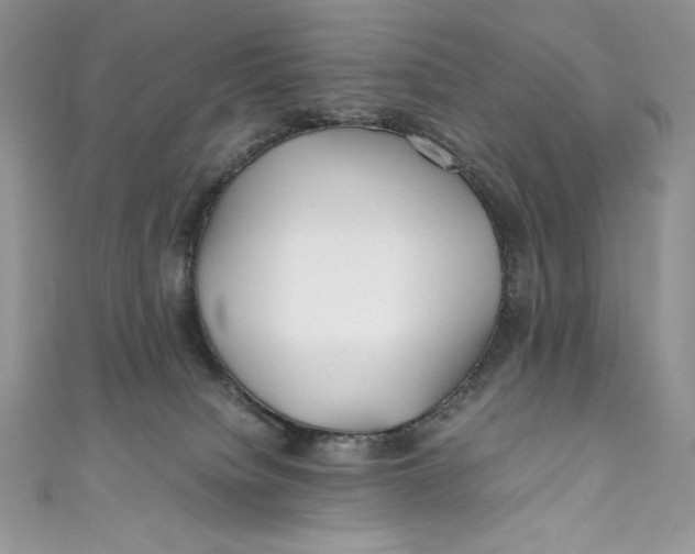 X0000111010084200907061004