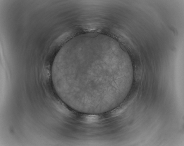 X0000111010085200907061004