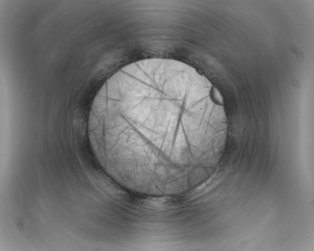 X0000111010086200907061004