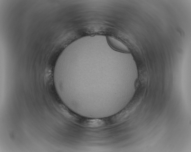 X0000111010087200907061004