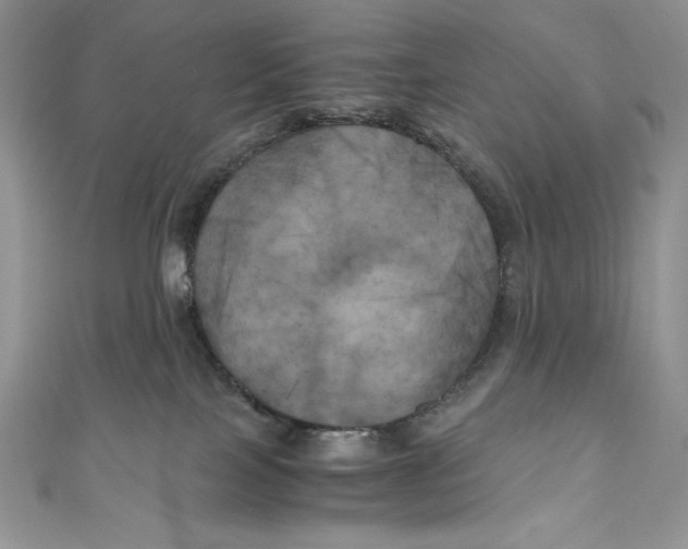 X0000111010089200907061004