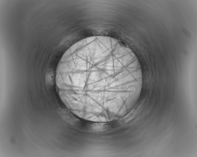 X0000111010090200907061004