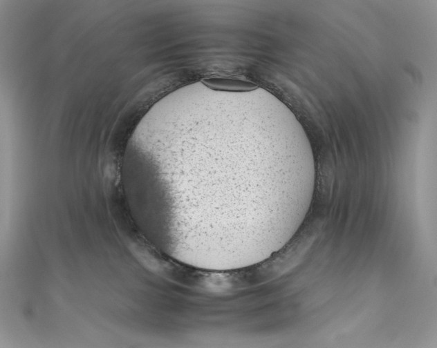 X0000111010091200907061004