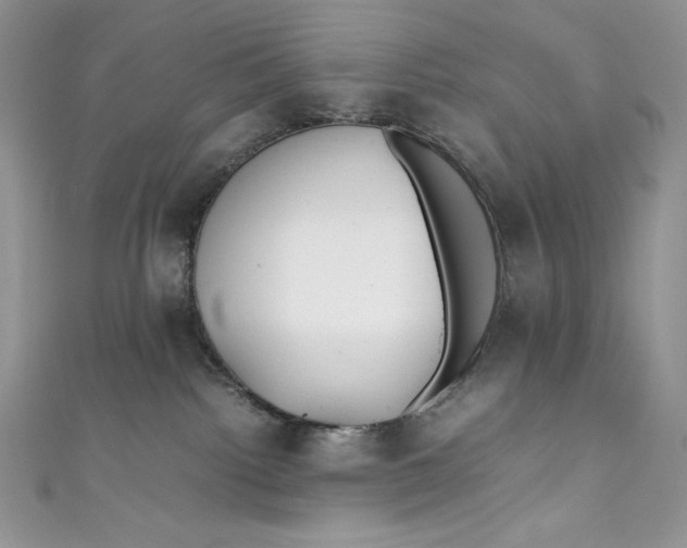 X0000111010092200907061004