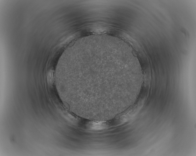 X0000111010093200907061004