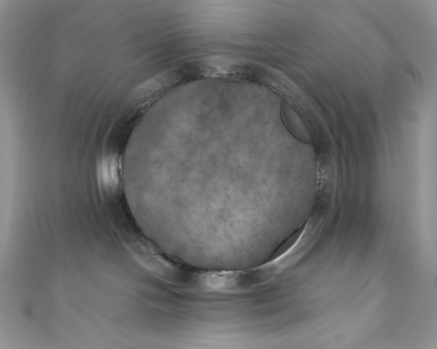 X0000111010094200907061004