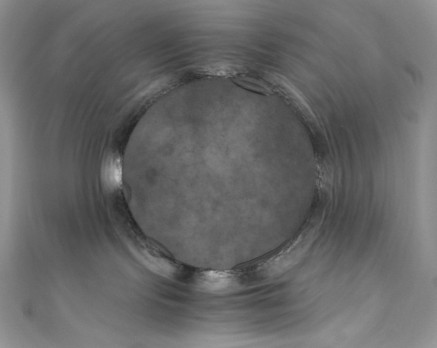 X0000111010095200907061004