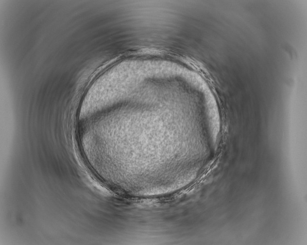 X0000111010097200907061003