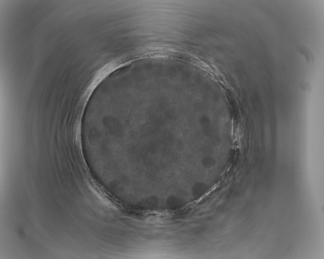 X0000111010099200907061003