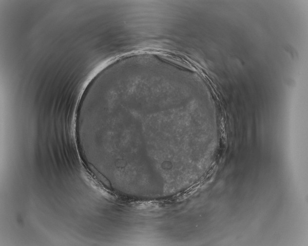 X0000111010100200907061003