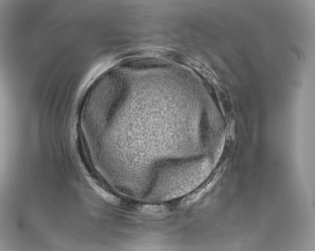 X0000111010101200907061003