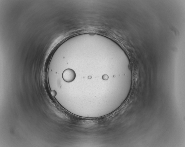 X0000111010102200907061003