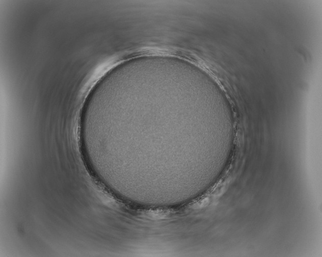 X0000111010103200907061003