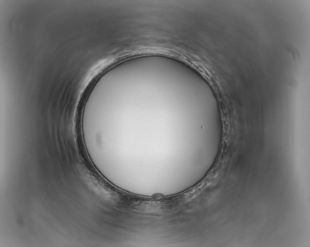 X0000111010104200907061003