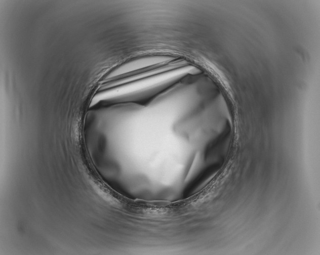 X0000111010105200907061003