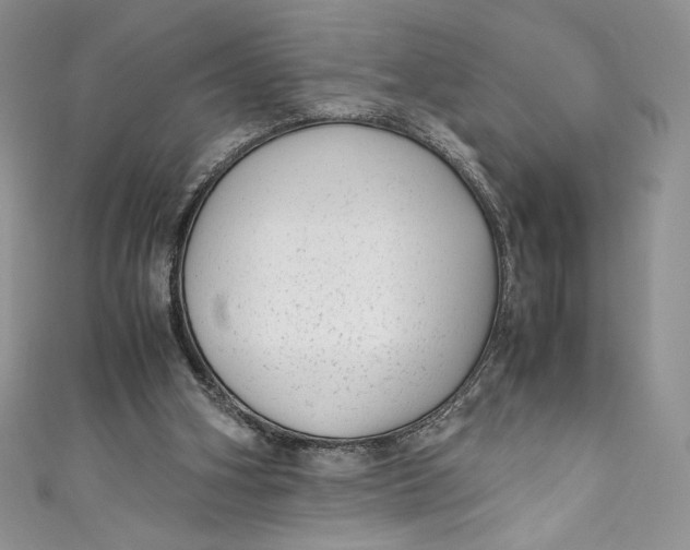 X0000111010106200907061003