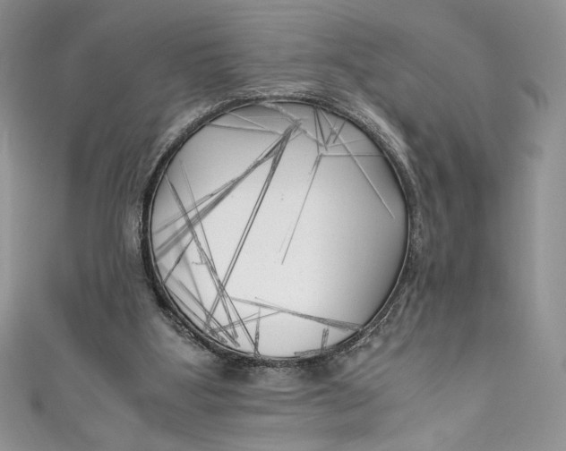 X0000111010107200907061003