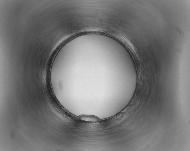 X0000111010108200907061003