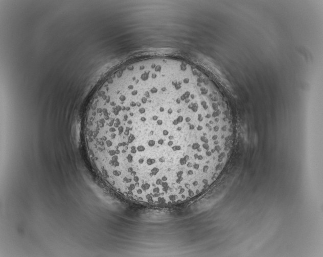 X0000111010110200907061003