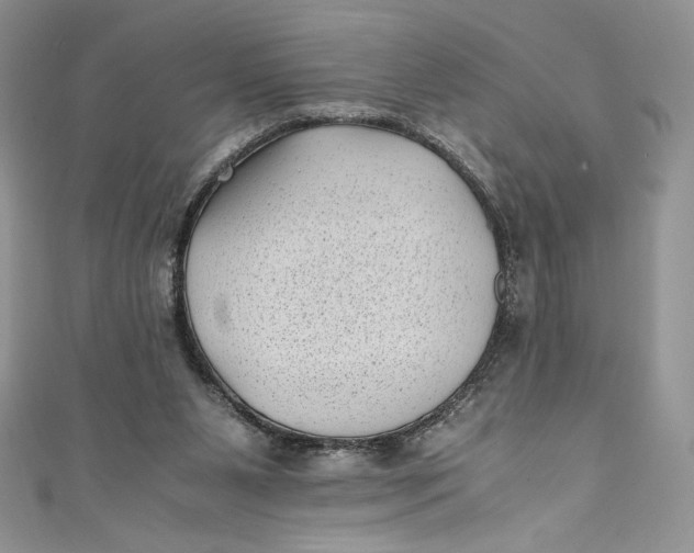 X0000111010111200907061003