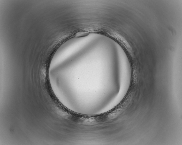 X0000111010113200907061003