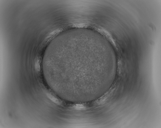 X0000111010114200907061003