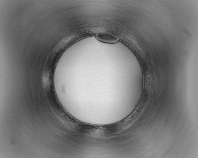 X0000111010116200907061003