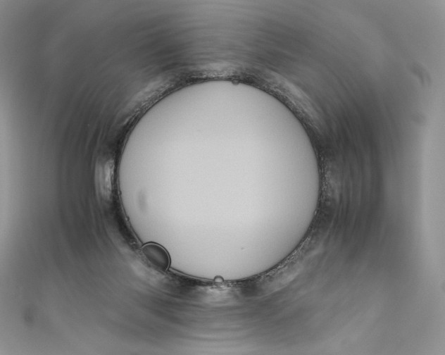 X0000111010118200907061003