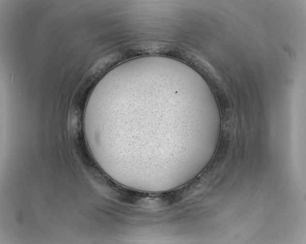 X0000111010119200907061003