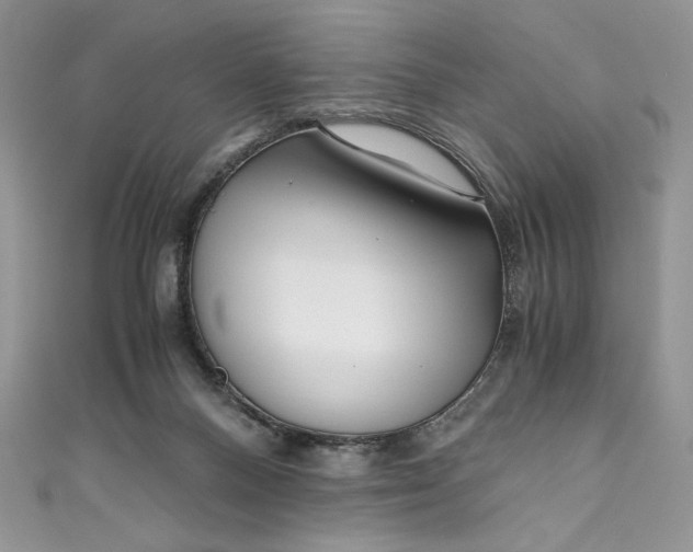 X0000111010120200907061003