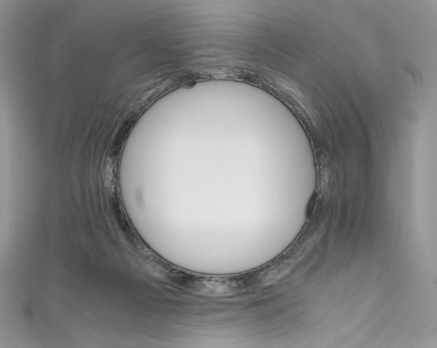 X0000111010121200907061003