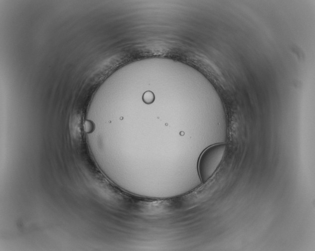 X0000111010122200907061003